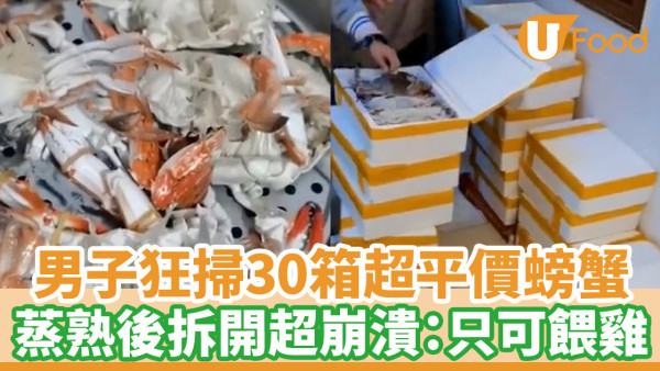 男子狂掃30箱超平價螃蟹　蒸熟後拆開超崩潰：只可餵雞