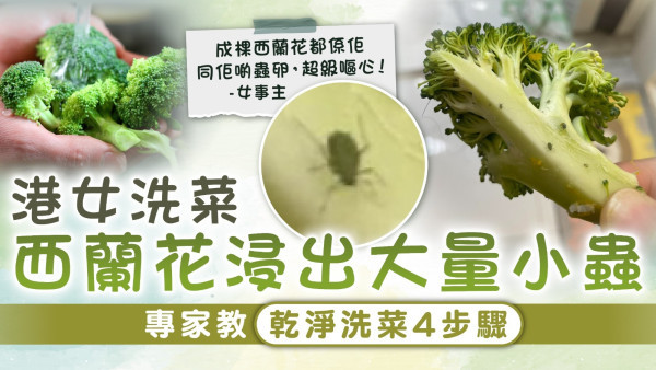 食用安全｜港女洗菜西蘭花浸出大量小蟲 專家教乾淨洗菜4步驟