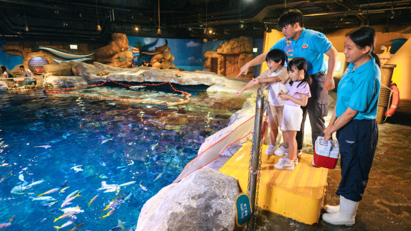 海洋公園招募逾770個職位 完成面試將獲贈海洋公園門票