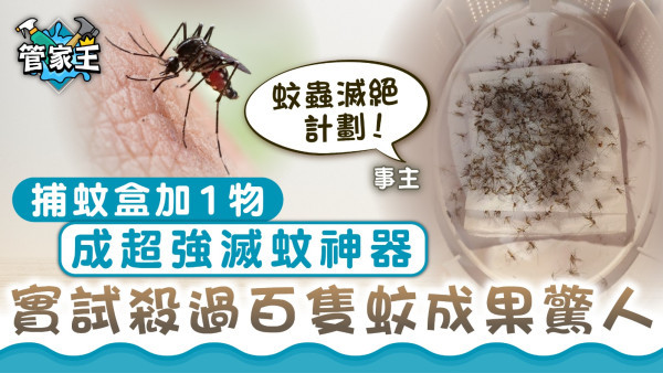 家居滅蚊｜捕蚊盒加1物成超強滅蚊神器 實試殺過百隻蚊成果驚人