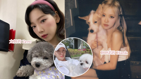 盤點 6 大韓星的寵物愛犬！與毛孩生活日常大公開！