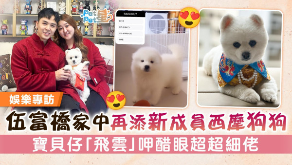 伍富橋家中再添新成員西摩狗狗 寶貝仔「飛雲」呷醋眼超超細佬