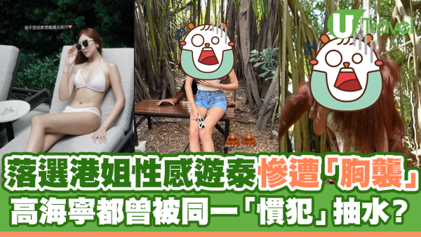 落選港姐性感遊泰慘遭「胸襲」 高海寧都曾被同一「慣犯」抽水？