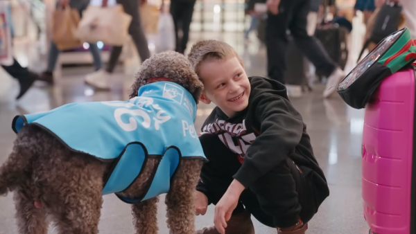 機場治療犬｜ 5隻治療犬土耳其機場當值 為怕搭飛機旅客紓緩壓力