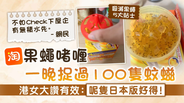 消滅果蠅｜淘果蠅啫喱一晚捉過100隻蚊螆 港女大讚有效：呢隻日本版好得！