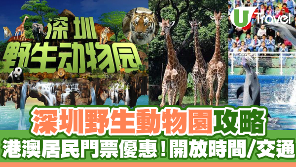 深圳野生動物園攻略｜港澳居民門票優惠！園區開放時間/交通
