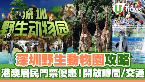 深圳野生動物園攻略｜港澳居民門票優惠！園區開放時間/交通