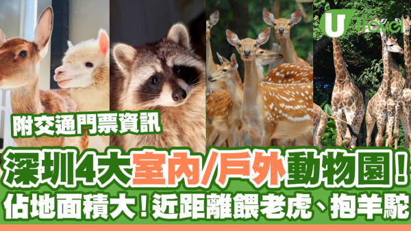 深圳4大室內/戶外動物園！佔地面積大、接觸可愛小動物 