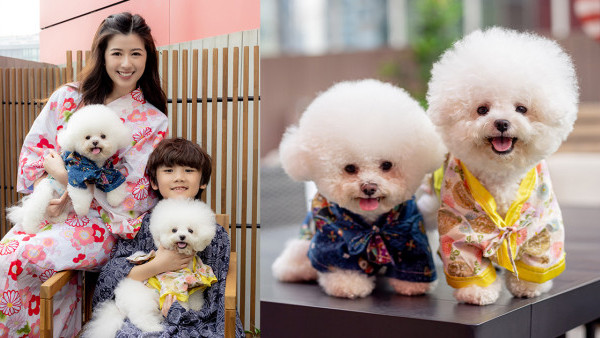 九龍灣MegaBox 6月寵物初夏祭 8大亮點一覽！寵物市集/攤位遊戲/珍貴爬蟲展