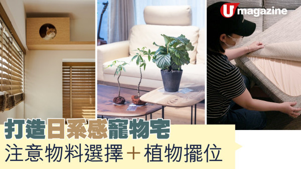 家居達人｜打造日系感寵物宅  注意物料選擇與植物擺位