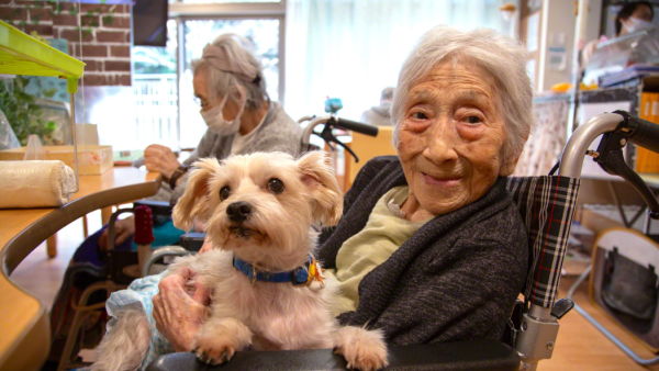 愛寵如己｜日本老人院准帶寵物入住 駐動物照顧員人寵一起終老
