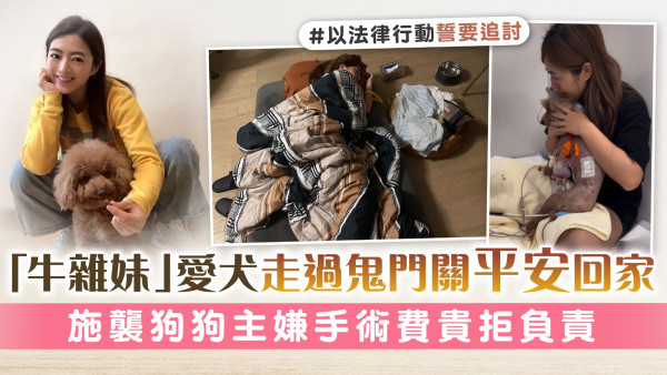 愛犬被襲險死「牛雜妹」李亦喬激動流產 施襲狗狗主嫌手術費貴拒負責