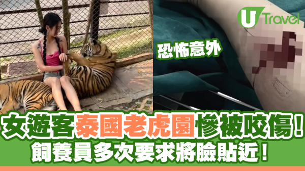 恐怖意外｜女遊客泰國參觀老虎園慘被咬傷！飼養員多次要求將臉貼近