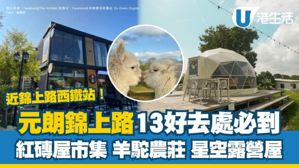 錦上路好去處｜一日遊近錦上路站好玩地方 紅磚屋市集/菠蘿園餵羊駝/圍爐煮茶