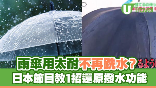 雨傘用太耐不再跣水？日本節目教1招還原撥水功能