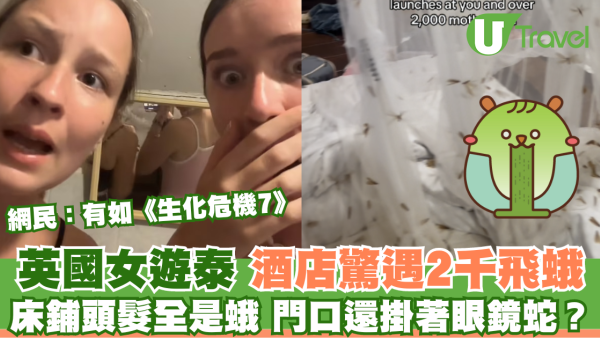 外國女遊泰國酒店驚遇2千隻飛蛾轟炸 床鋪全都是超嘔心/門口還掛眼鏡蛇？