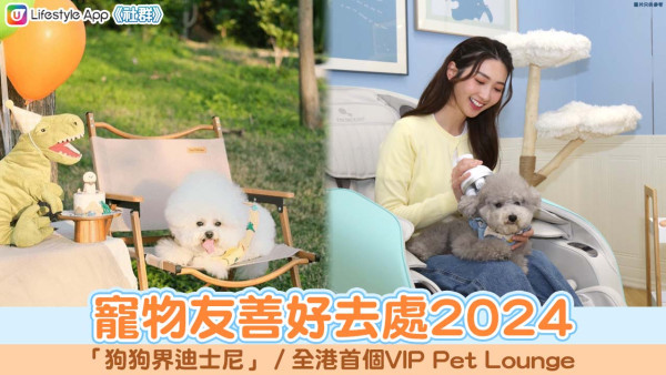 寵物友善好去處2024｜室外「狗狗界迪士尼」/ 全港首個VIP Pet Lounge