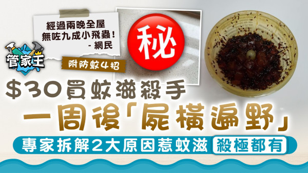  滅蚊神器｜$30買蚊滋殺手一周後「屍橫遍野」 專家拆解2大原因惹蚊滋「殺極都有」【附防蚊4招】