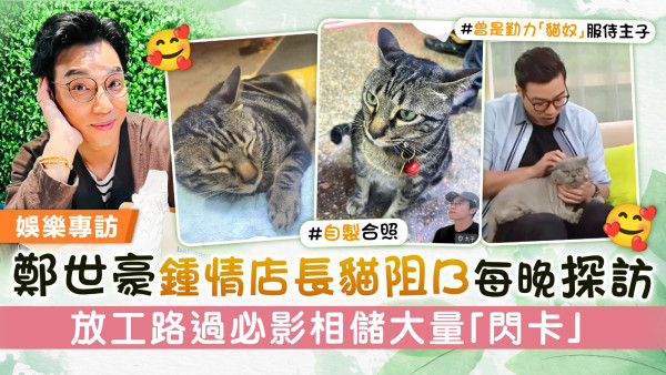 鄭世豪鍾情店長貓阻B每晚探訪   放工路過必影相儲大量「閃卡」