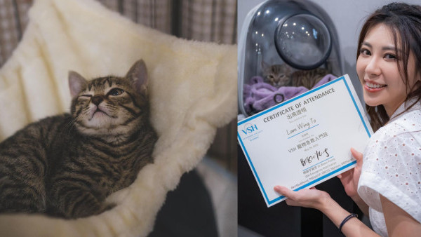 林泳淘為愛貓讀寵物急救 細女入屋3個月勁重口味？