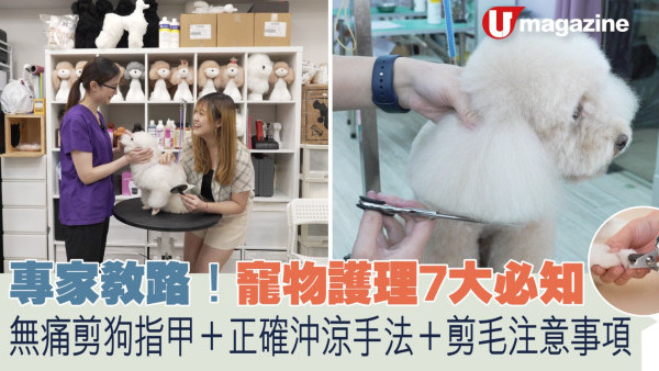 家居達人｜專家教路！寵物護理 7 大必知 無痛剪狗指甲＋正確沖涼手法＋剪毛注意事項