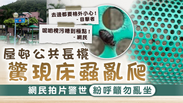 公屋床蝨｜屋邨公共長櫈驚現床蝨亂爬 網民拍片警世紛呼籲勿亂坐：要格外小心