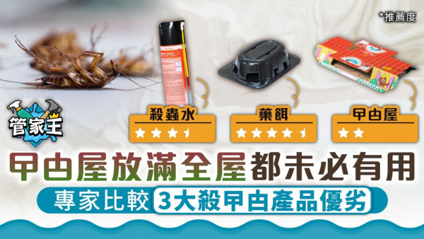 殺蟑螂丨殺蟲水難根治？曱甴屋要放邊？3大殺曱甴產品優劣 專家教正確使用方法