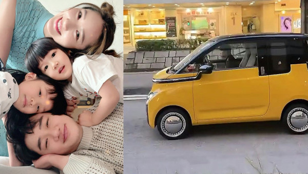 王祖藍住白石角逾億豪宅 出入買餸竟揸15萬平價國產電動車獲網民大讚夠貼地