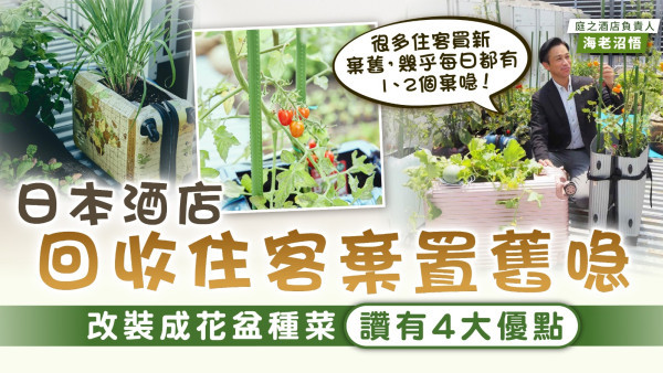 廢物利用｜日本酒店回收住客棄置舊喼 改裝成花盆種菜讚有4大優點