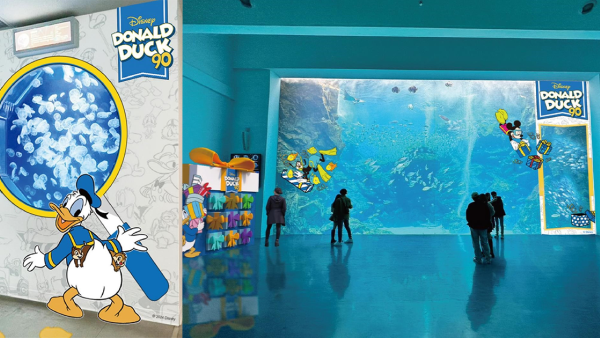 慶祝90週年｜唐老鴨7月登陸台灣水族館 10大夢幻打卡點+免費換唐老鴨精品