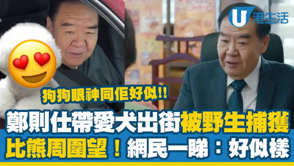 73歲鄭則仕帶愛犬出街被野生捕獲！網民一睇驚嘆好似樣：狗狗眼神同佢好似