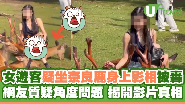 女遊客疑坐奈良鹿身上影相被轟 網友質疑角度問題 揭開影片真相