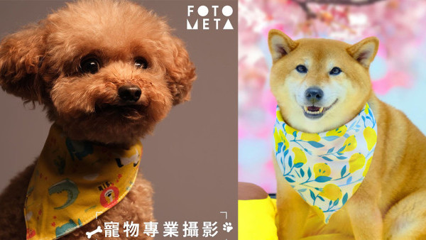 啟德AIRSIDE全新寵物友善攝影概念店 $59起體驗專業寵物形象照拍攝
