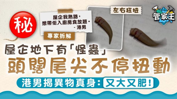 家居益蟲｜屋企地下有「怪蟲」頭闊尾尖不停扭動 港男揭異物真身：又大又肥！