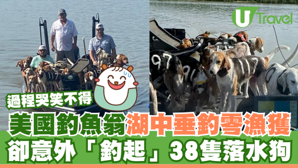 美國釣魚翁湖中垂釣零漁獲 卻意外「釣起」38隻落水狗