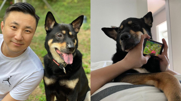 崔建邦唔舒服愛犬陪伴左右 6歲武藏勁可愛經常偷食