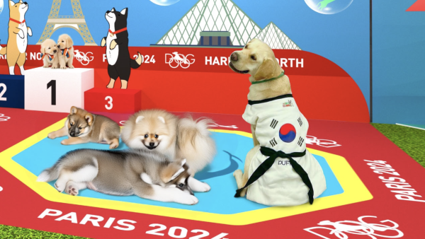 北角毛小孩運動嘉年華！OlymPETS Carnival奧運會 瑜伽班／打卡專區／DIY工作坊