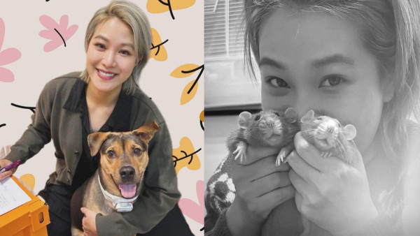 Cheronna＠Super Girls愛鼠兩日內先後離世 臨終前向狗狗交低身後事超有靈性