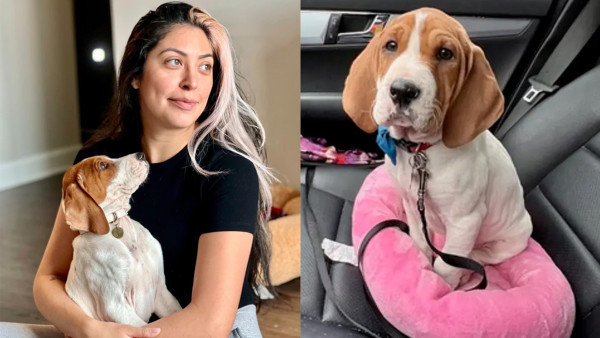 愛犬患病忍痛安樂死  1年後驚見奇蹟「復活」？動物收容所親揭內幕真相