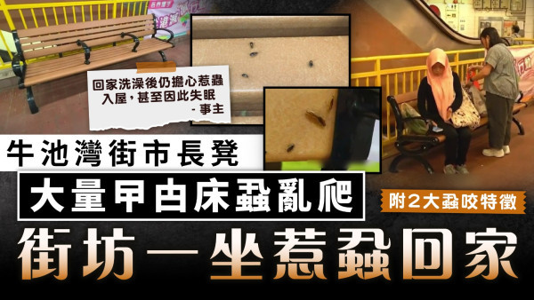 街市床蝨｜牛池灣街市長凳大量曱甴床蝨亂爬 街坊一坐惹蝨回家