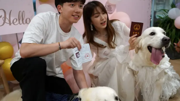 寵物婚禮｜主人花大錢辦寵物婚禮 訂製蛋糕兼有結婚證書