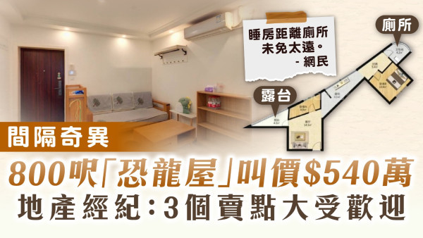 買樓奇則｜間隔奇異800呎「恐龍屋」叫價$540萬 地產經紀：3個賣點大受歡迎