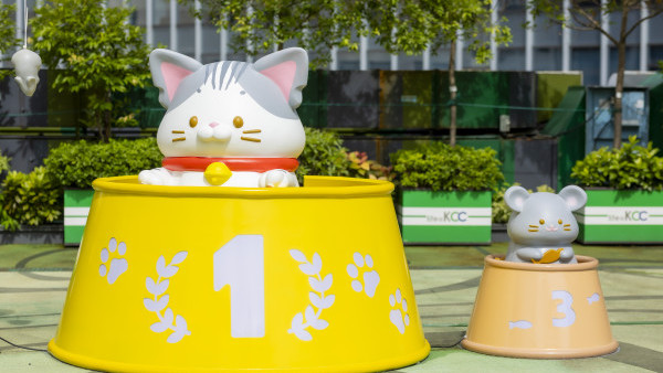 葵興大型毛孩運動會！8大喵喵打卡位 / 3大工作坊 / 寵物市集