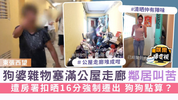 東張西望丨狗婆雜物塞滿公屋走廊鄰居叫苦 遭房署扣晒16分強制遷出 狗狗點算？ 