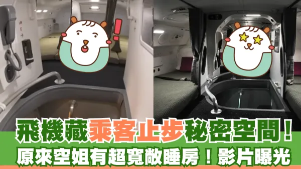 飛機藏乘客止步秘密空間！超寬敞空姐睡房曝光！
