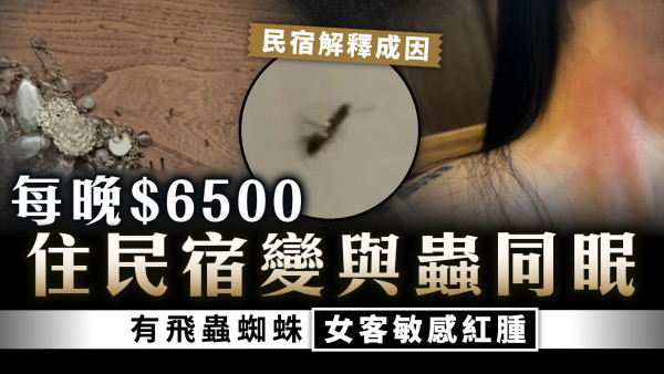 外遊注意｜每晚$6500 住民宿變與蟲同眠 有飛蟲蜘蛛女客敏感紅腫