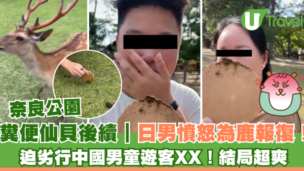 糞便仙貝後續｜日男憤怒為奈良鹿報復！迫劣行遊客吃糞結局超爽