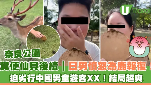 糞便仙貝後續｜日男憤怒為奈良鹿報復！迫劣行遊客吃糞結局超爽