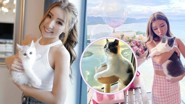 「貓奴」譚嘉儀屋企再添新成員 怕英國短毛貓「家姐」呷醋