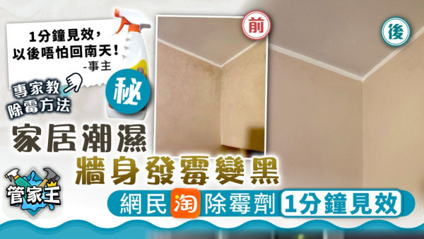 家居除霉丨家居潮濕牆身發霉變黑 網民淘除霉劑1分鐘見效 專家教正確除霉方法